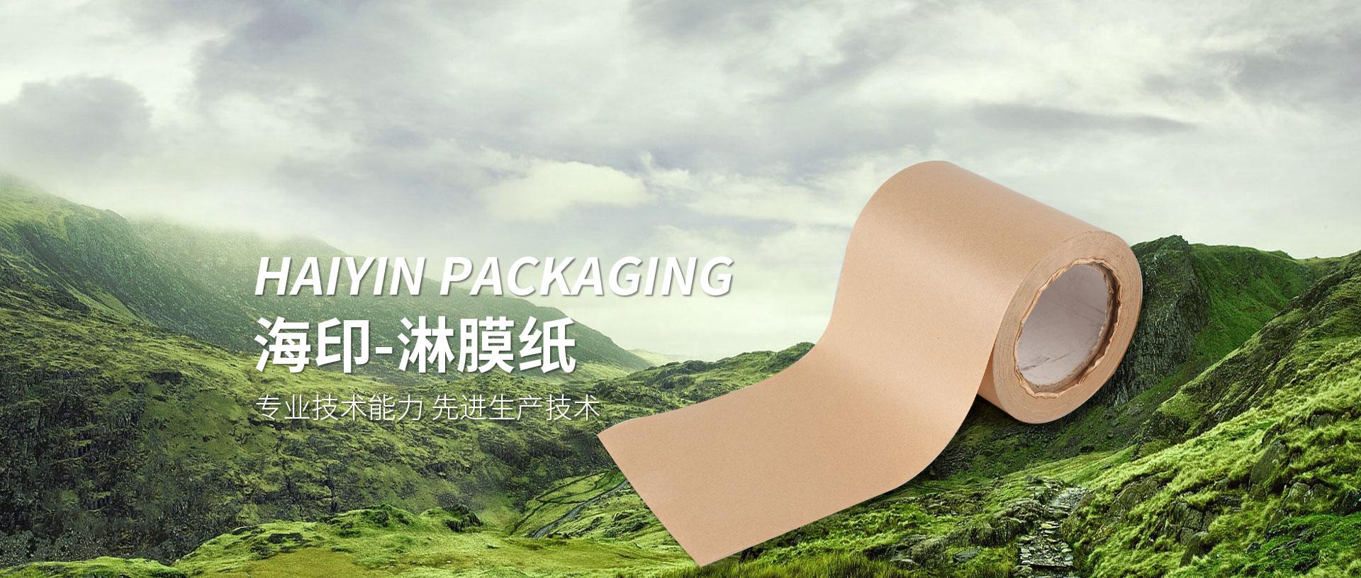广州南创厂家供称重传感器、压力传感器和位移等传感器